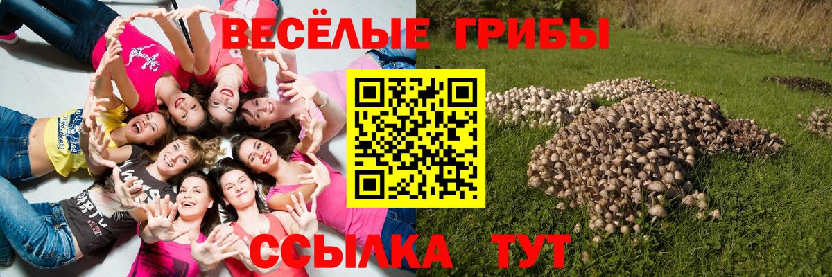 цены наркотик  Галлюциногенные грибы мухоморы  Псилоцибиновые грибы MAGIC MUSHROOMS  Вход с VPN  Лиски 